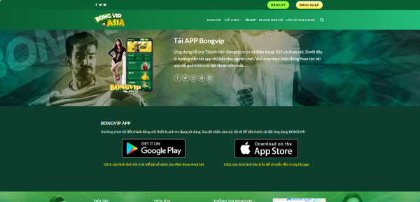 Theme wordpress bong da 2 Theme WordPress Affiliate Cá Cược Bóng Đá Giống BongVip