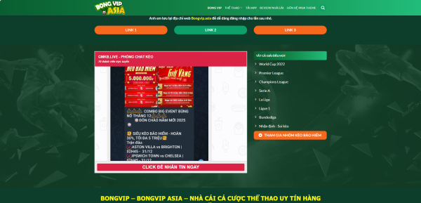 Theme wordpress bong da 3 Theme WordPress Affiliate Cá Cược Bóng Đá Giống BongVip